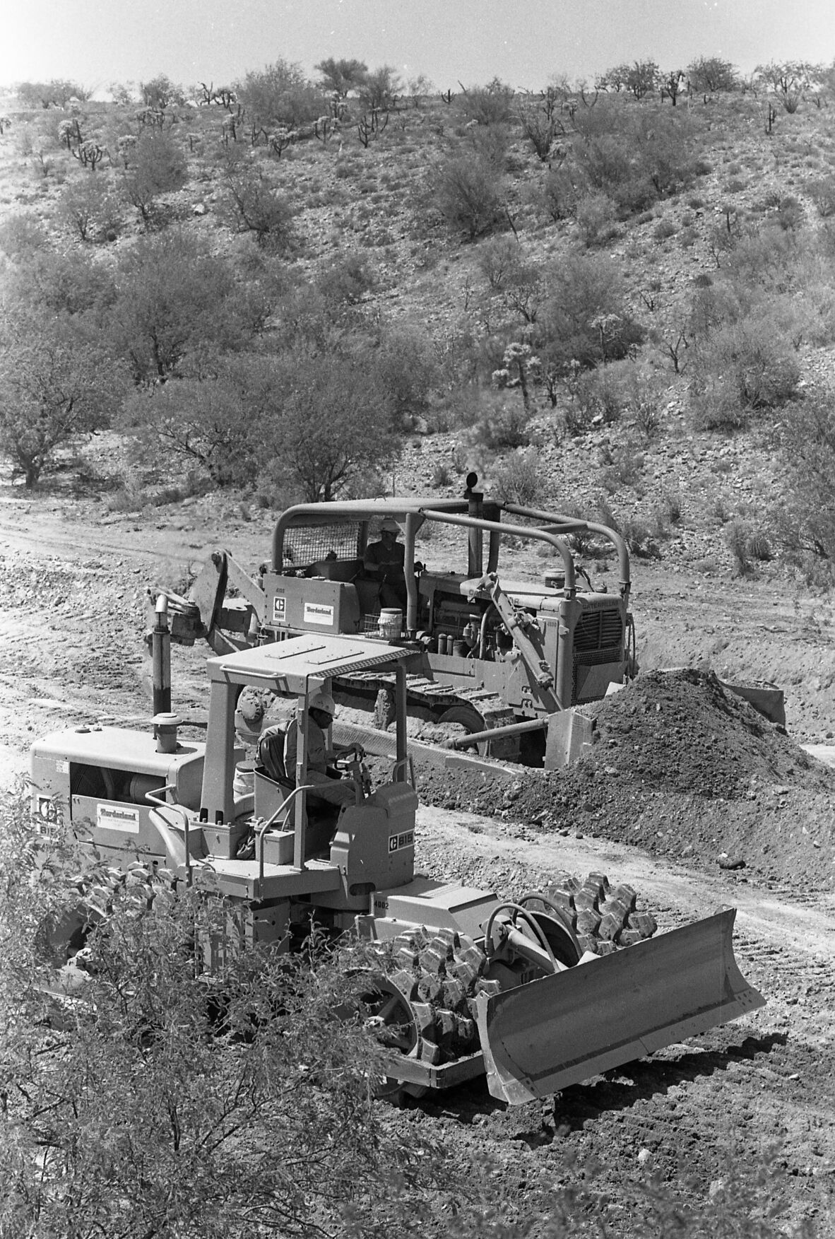 Green Valley, 1983